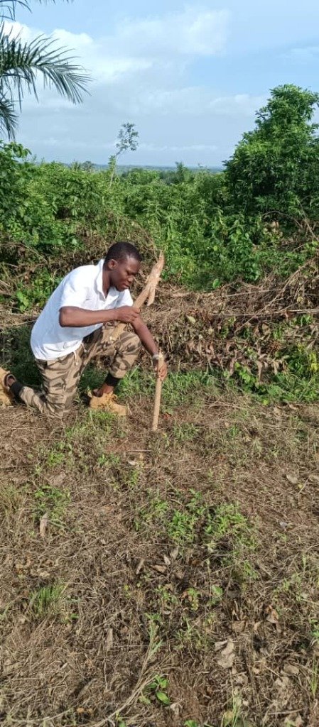 Opération de délimitation