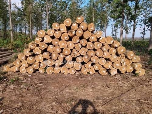 Stock de Bois