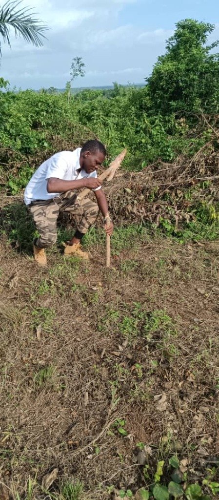 Valorisation de Bois