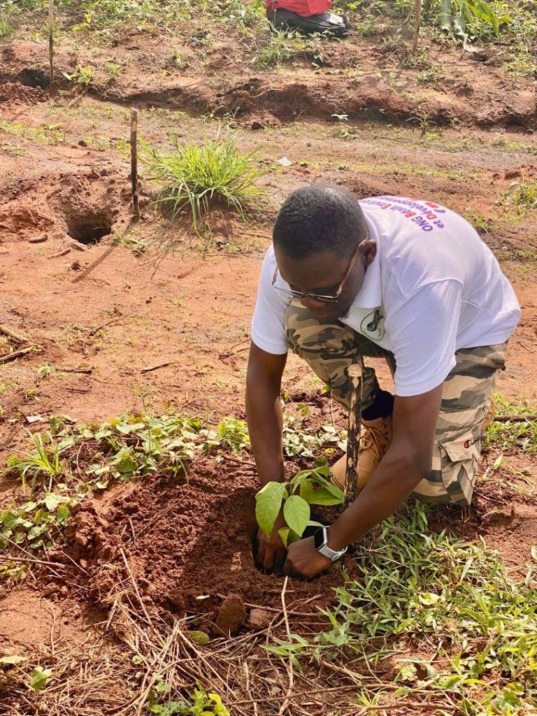 Action de Reboisement